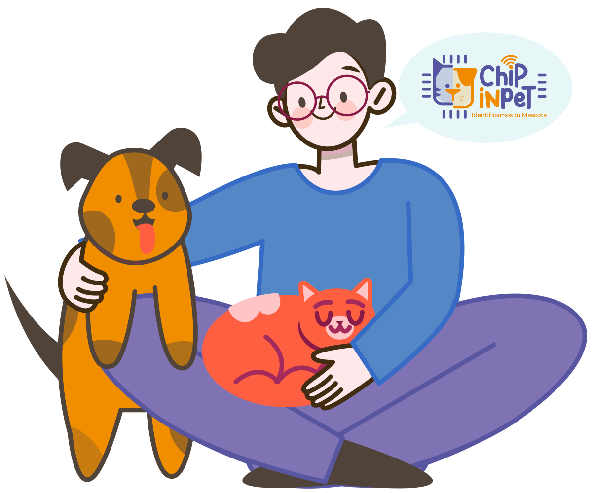 ilustra1-home