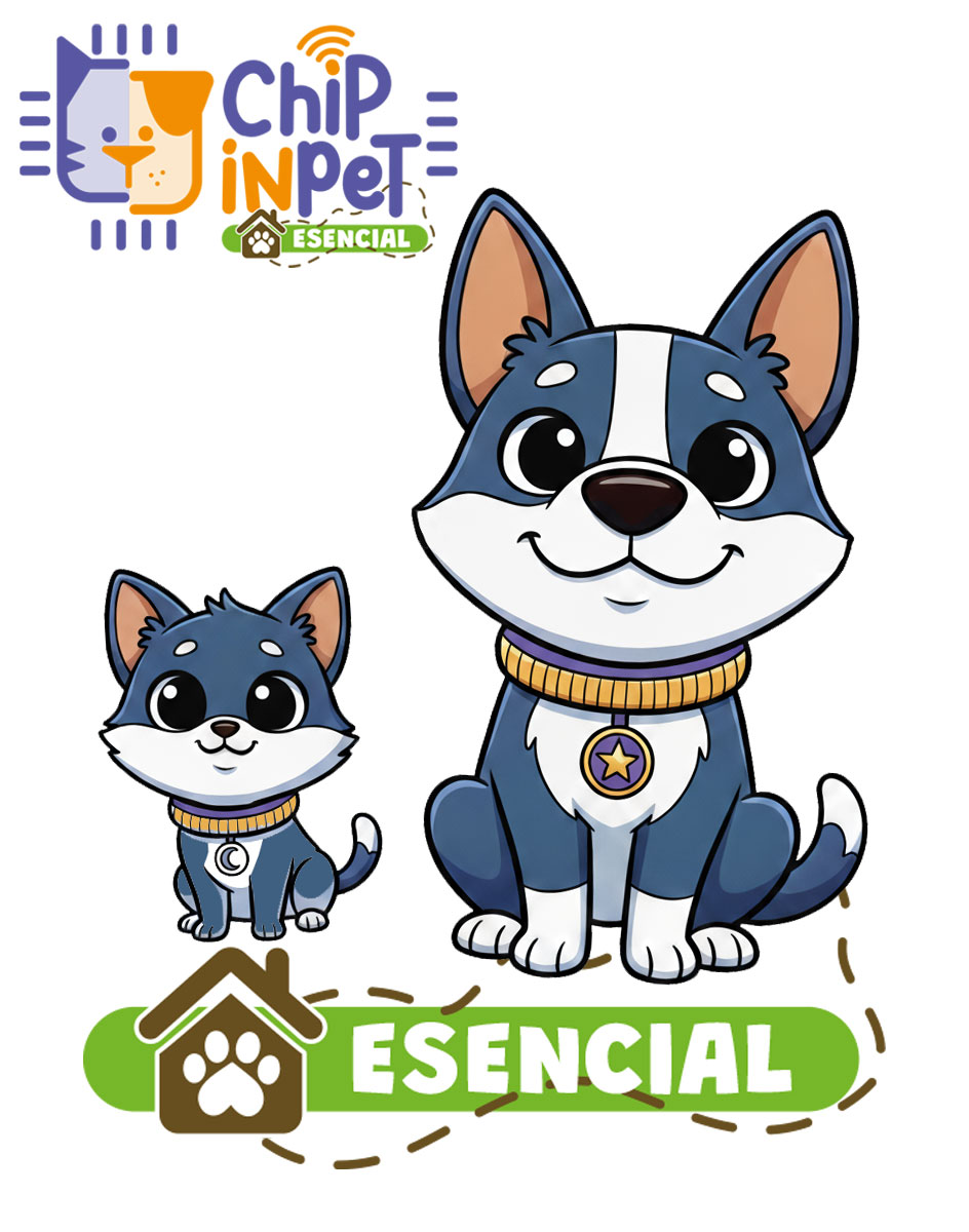 chipinpet-esencial1