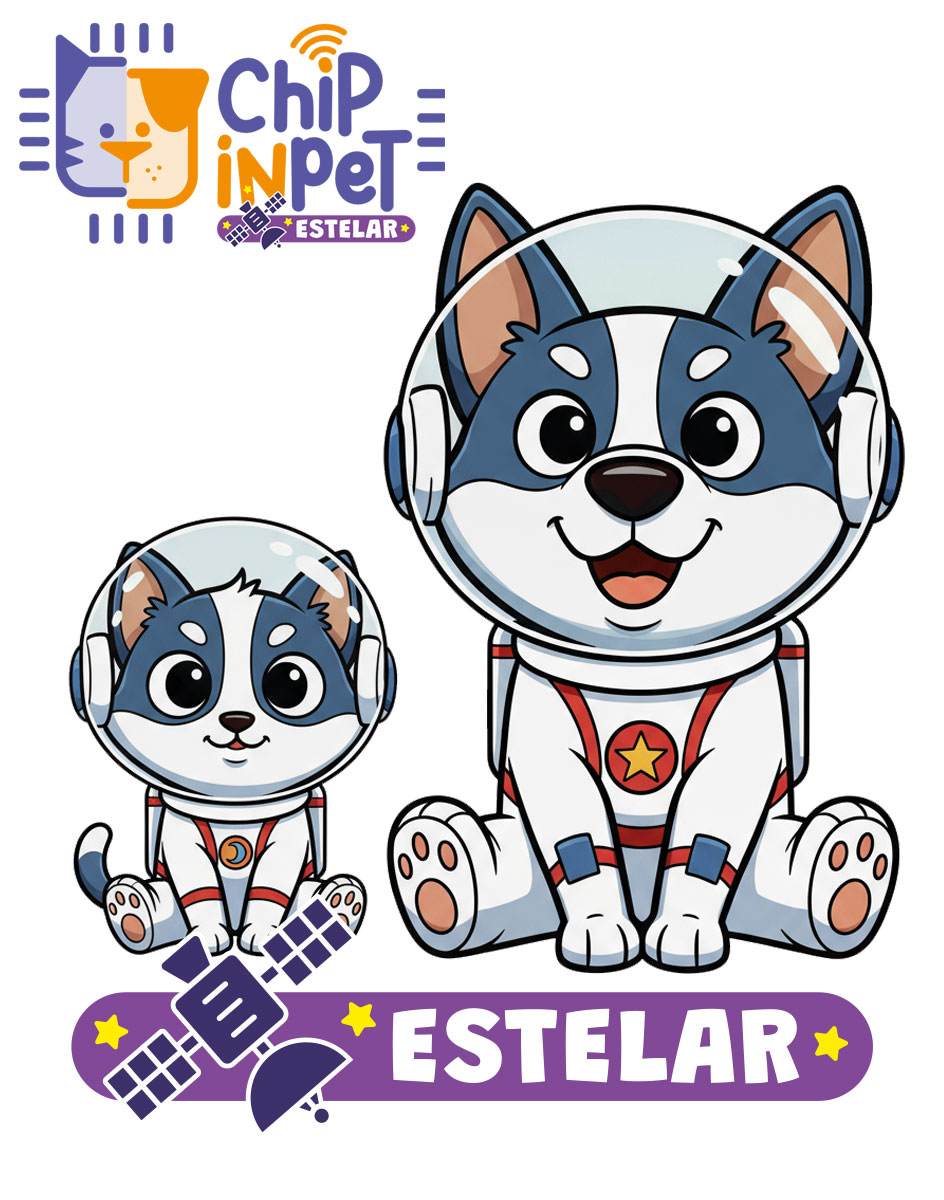 chipinpet-estelar1