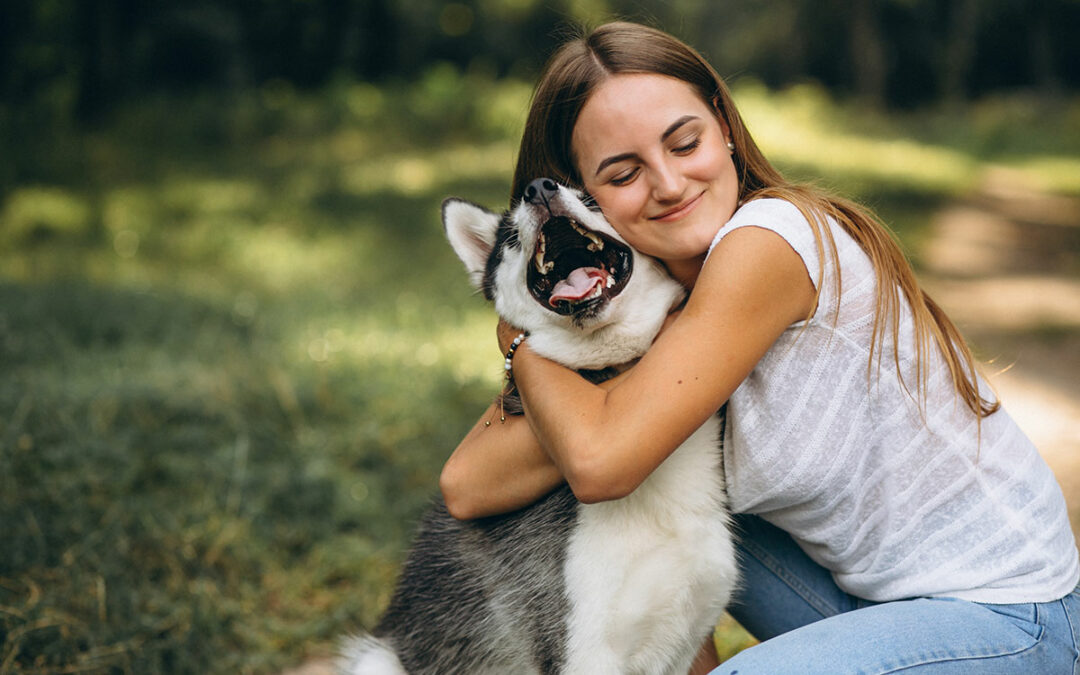 ¿Cuántas mascotas se pierden? ¿Cuántas encuentran el camino a casa? Una encuesta de la ASPCA tiene las respuestas.